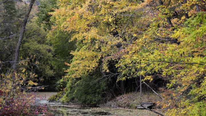 October heat sets records across Michigan. Where it was hot Oct. 4.
