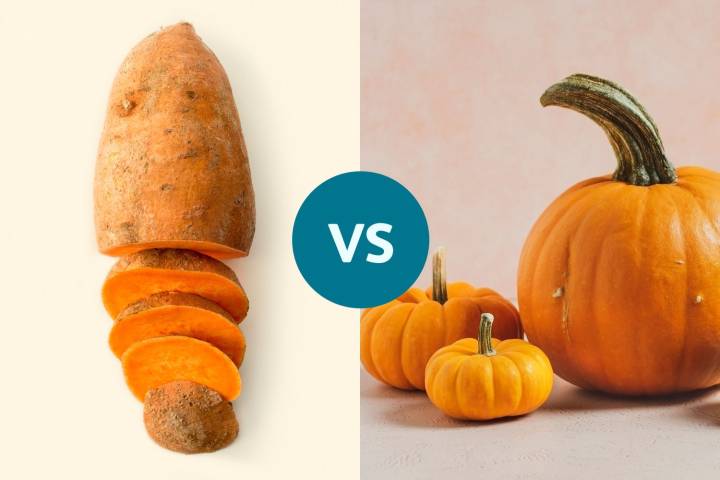Sweet Potato vs. Pumpkin: Which Is Better for Blood Sugar?