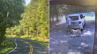 Georgia Man Filmed Dumping His Dog On A Remote Road Before Driving Away