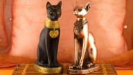 ¿Qué significan los gatos para los egipcios?