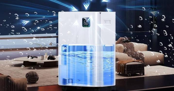 This five-star rated £800 dehumidifier just got reduced to £90