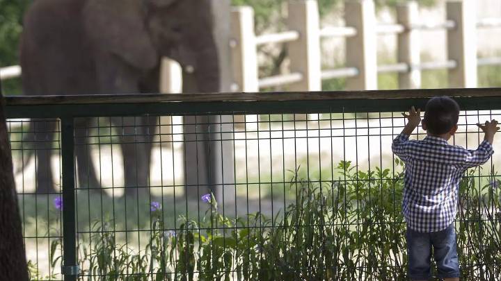 Profepa levanta clausura temporal a Zoológico La Pastora