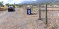 Free spay, neuter clinic on Maui aims to curb overpopulation
