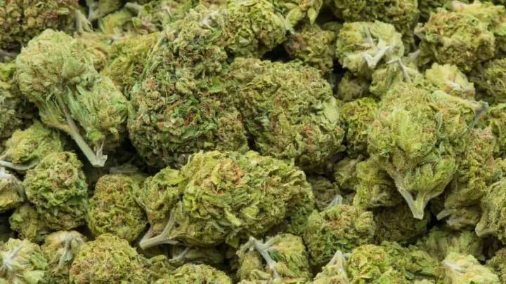 Three held with 1000 kg ganja worth Rs 2 crore in Vijayawada