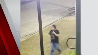 Galveston Police looking for man who allegedly tried to kidnap 13