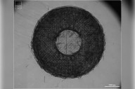 U of S researchers creating 3D-printed model to better study lung diseases