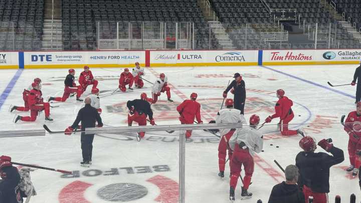 Detroit Red Wings say breakout prospects make team better