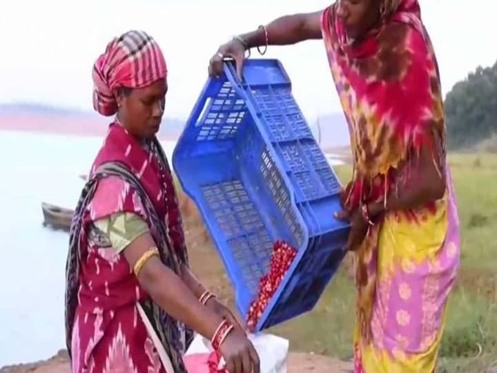 PM Modi hails Odisha's Koraput coffee in 'Mann Ki Baat', calls it 'India's brew loved by the world'