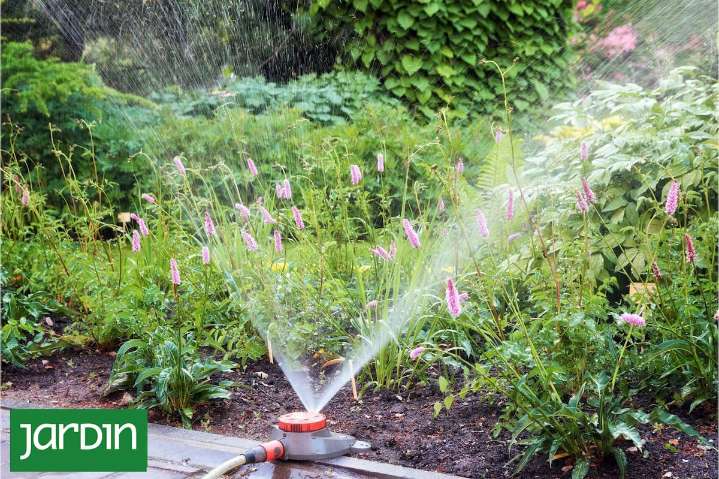 El riego correcto. La frecuencia, la cantidad exacta y las técnicas que realmente marcan la diferencia en el jardín