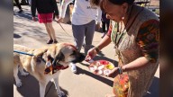 Town of Superior hosting Kukur Dihar 'Day of the Dog' festival