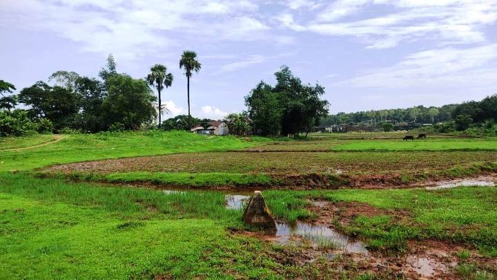 700 Home Guard volunteers to be trained for international border work