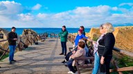 Las visitas guiadas a es Carnatge se reanudan en octubre