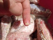 Denuncian presencia de gusanos en carne comprada en tienda de Chetumal