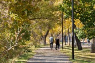 7 Calgary parks you need to explore for the best fall views