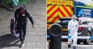 Clifton suitcase murder from bloody trail, frantic chase and sick video footage