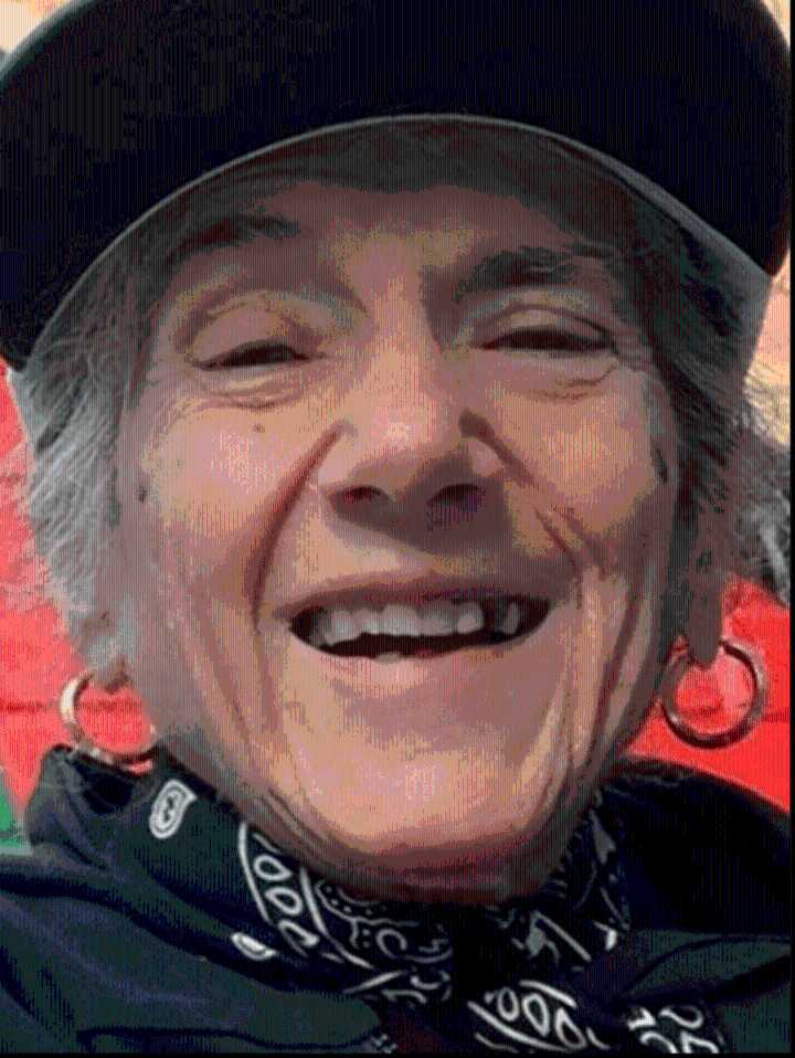 Man charged with murder after body of pensioner found in her north London home