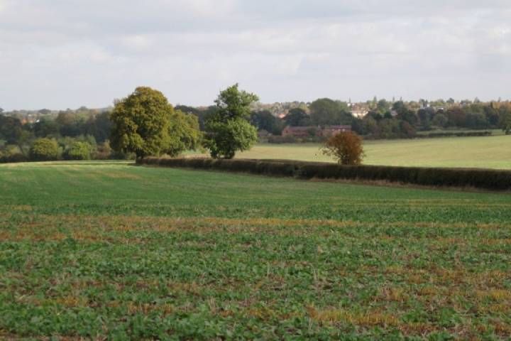 Promoter pushing for 1,200 homes between Leamington and Kenilworth | Local News 