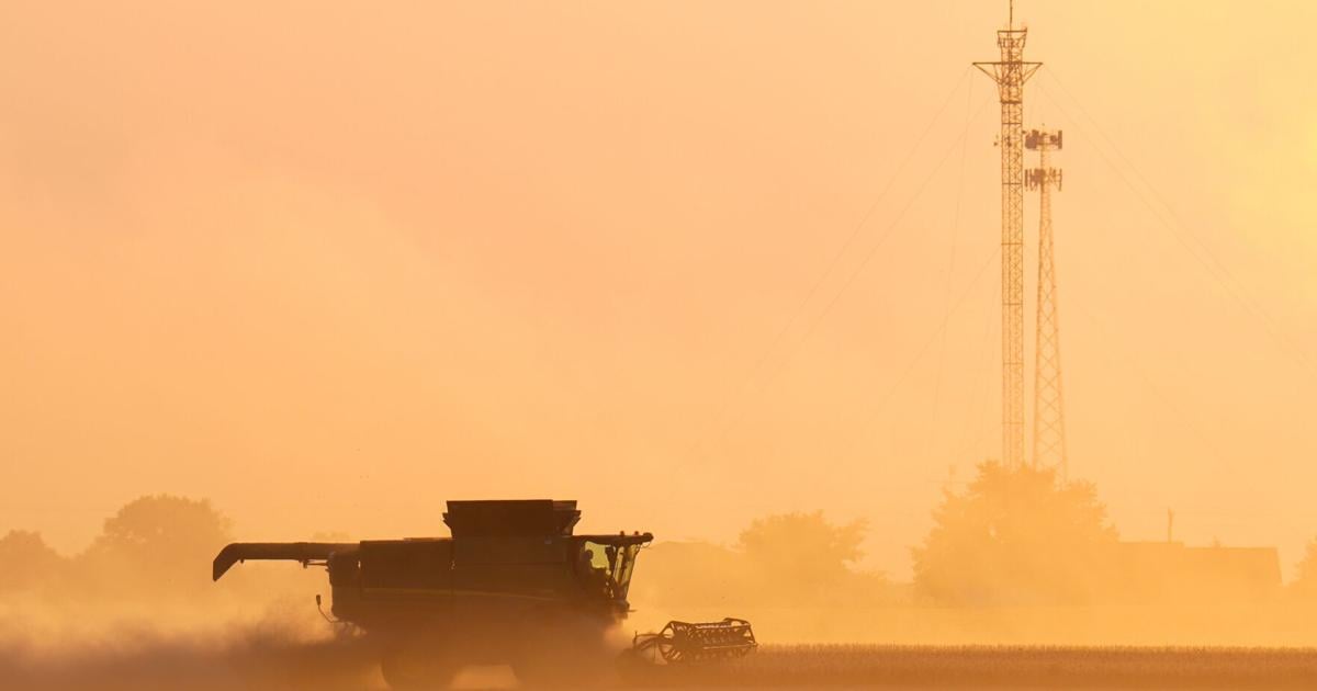 Trump bets the soybean farm on tariffs