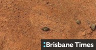Footprint found in search for missing South Australia boy