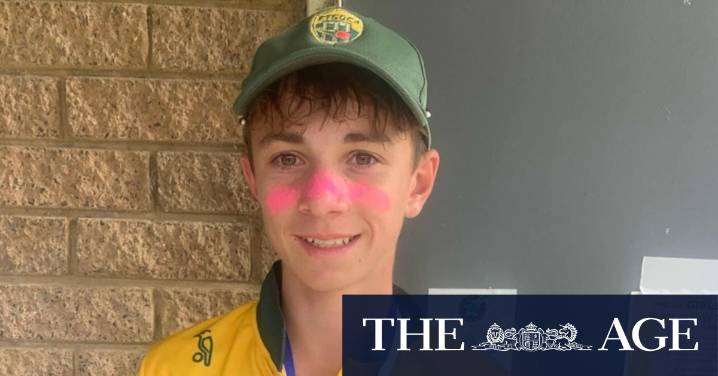 Ben Austin death: Melbourne teen cricket player dies after being struck in the neck by ball in Ferntree Gully