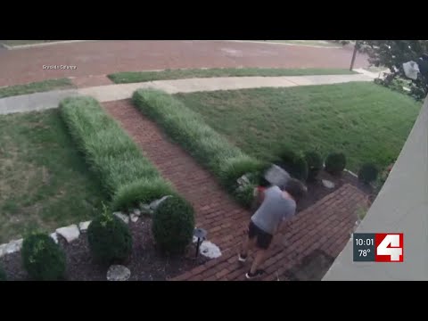 Packages stolen by apparent pre-teen porch pirates in Metro East