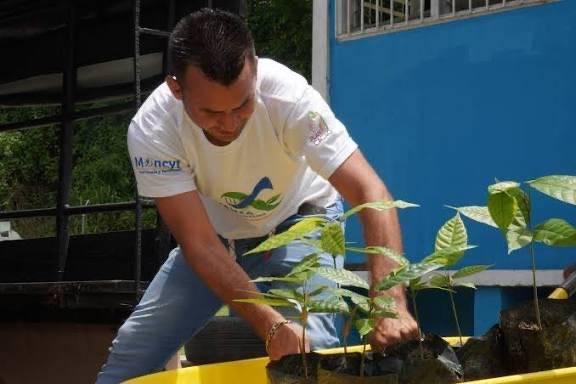 Apure: Gobernación entrega 5 mil plántulas para impulsar la producción de cacao