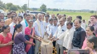 Only TG govt purchases paddy directly from farmers: Srihari