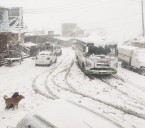 Rohtang Pass closed to traffic after snowfall
