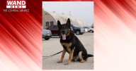 University of Illinois Police mourn loss of retired K9 officer