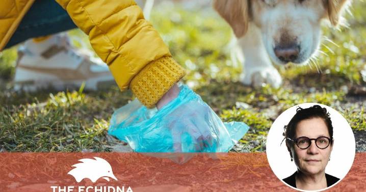 The Echidna | Pet owners must be more responsible for their animals