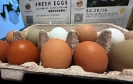 'Trump was wrong': Fact-checker flattens Trump's economy claims as grocery prices soar