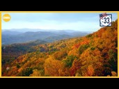 The best of Tennessee in 90 seconds
