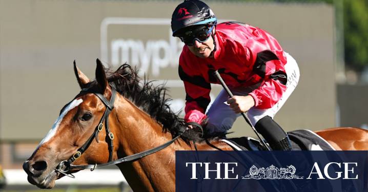 Race-by-race preview and tips for Saturday’s meeting at Randwick