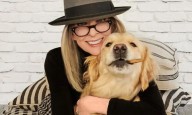¡Increíble! Revelaron la millonaria fortuna que Diane Keaton le habría dejado a su perro como herencia