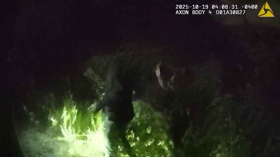 VIDEO: Deputies say 2 fled during K9 response to Riverview prowler call