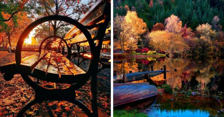 52 Captivating Photos Of Autumn Leaf Colors And Fall Foliage From Around The World