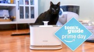 My cats tested this smart water fountain for a month — and now it’s 53% off for Prime Day