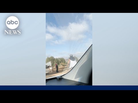 Video shows Palestinian woman attacked by alleged Israeli settler in West Bank