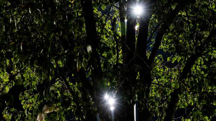 Some of Trey Reed's family say death was a 'lynching', plan rally at DSU