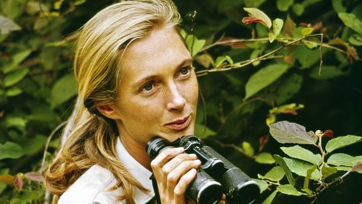 Jane Goodall's cause of death revealed as cardiac arrest at age 91