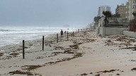 Could Daytona Beach go to the dogs? Volusia County leaders to discuss dog