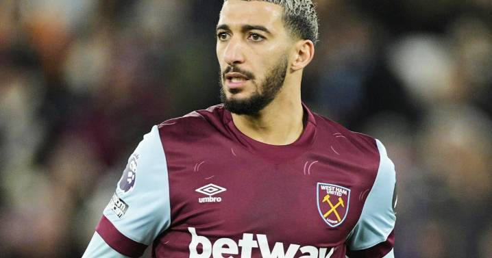 Former West Ham player Said Benrahma fined after his XL bully dogs attack golden retriever