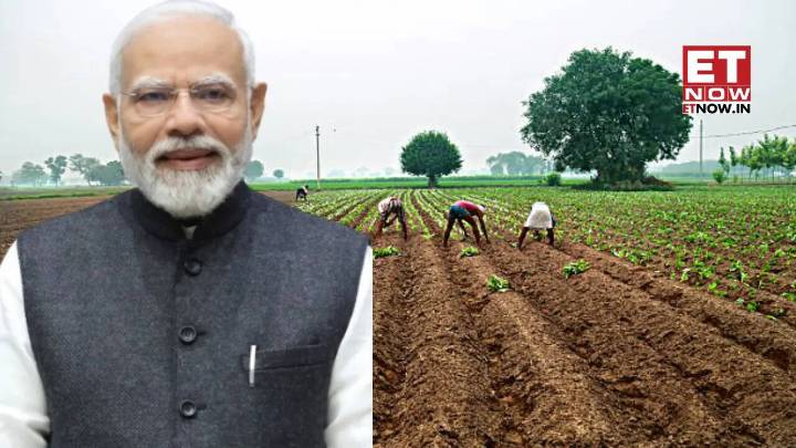 PM Modi to inaugurate THESE two agricultural schemes on Oct 11