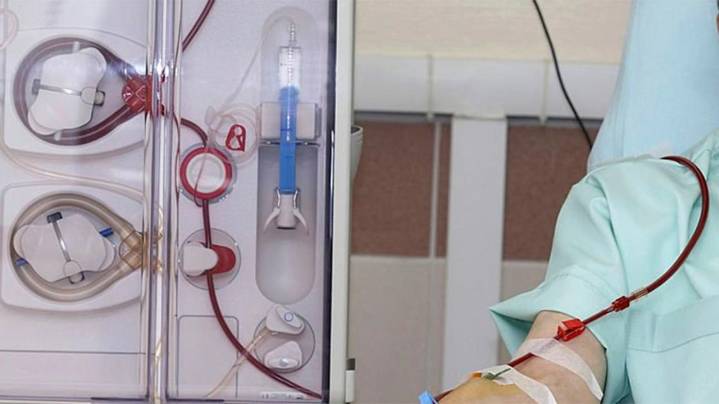 Día Mundial de la Donación de Órganos: la Ley Justina que modificó el régimen en Argentina
