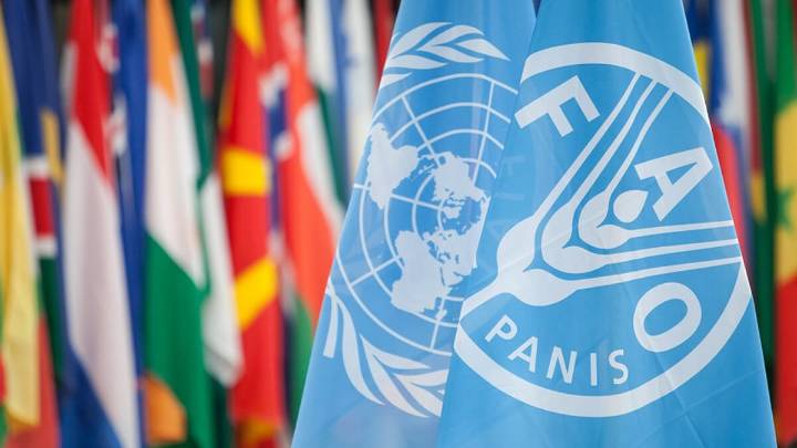 Venezuela presenta su modelo alimentario en la FAO