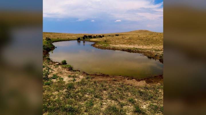 Colorado Youth Outdoors receives 131 acres of donated land
