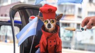 De sabores de Bolivia y cosplay de videojuegos a la crisis en Gaza y protestas globales, y más imágenes del día.