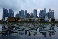 Singapore to cane scammers and mules under tightened laws, local media reports