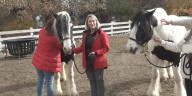 Helping local heroes heal: Horsemanship 4 Heroes hosting annual fundraising Gala