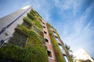 Findeter es reconocida como organización carbono neutral y refuerza su compromiso con la sostenibilidad